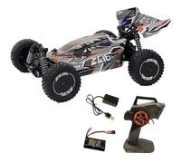 DF Models Z06 Light Buggy RTR 3133 (L x l x H 31 x 20,5 x 12 cm, Environ 1000 g, échelle 1:14, jusqu'à 40 km/h, à partir de 14 Ans, avec Batterie et câble de Charge USB, Voiture télécommandée, Jouet)