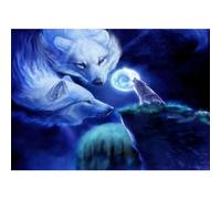 DF2883 Broderie point de croix 5D DIY Loup 20 x 30 cm