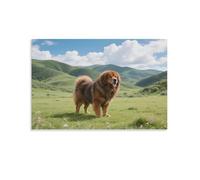 DFENILROP Mastiff tibétain sur le plateau Tableau Mural, Paysage with Animal Affiche Œuvre D'art | Impression Image Sur Toile, Elégante Décor Intérieure Pour Salon Chambre, Cadeau 08x12inch(20x30cm)