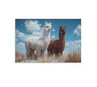 DFENILROP Tableau Mural, Animaux Poster, Deux Alpagas Dans Un Champ Sous Un Ciel Bleu, Idéal Pour Décoration D'intérieur Ou Tableaux - Tableau Toile Unique, Cadeau 12x18inch(30x45cm)