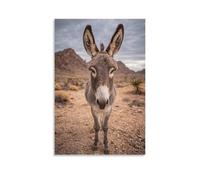 DFENILROP Tableau Mural, Animaux Poster, Portrait d'Âne du Désert : Art Animalier Pour Déco Maison, Fond de Paysage Désertique - Tableau Toile Minimaliste, Cadeau 12x18inch(30x45cm)