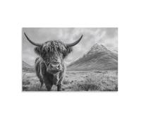 DFENILROP Tableau Mural, Animaux Poster, Vache Highland En Paysage Montagneux, Impression Noir Et Blanc Pour Décoration D'intérieur - Tableau Toile Haute Résolution, Cadeau 24x36inch(60x90cm)
