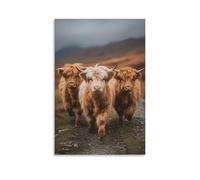 DFENILROP Tableau Mural, Animaux Poster, Vaches Highland Marchant sur Chemin Montagne, Décoration Nature Rurale pour Maison ou Bureau - Tableau Toile Minimaliste, Cadeau 20x30inch(50x75cm)