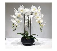 DFGHNBVC Fleurs Artificielles, Orchidées Blanches en Soie, Décoration avec Vase en Céramique, Phalaenopsis, Texture Réaliste.