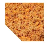 DFGRGRV Gazon Artificiel Plantes Vertes artificielles Mousse Herbe Mini Paysage Bricolage Artisanat Vie Fausse Herbe for Jardin Maison hôtel décoration 500/1000/100g(Orange,500g)