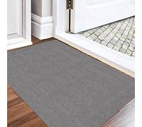 DFIONC Paillasson Intérieur Lavable, Super Fin, Tapis de Porte Résistant, Paillasson de Cuisine Absorbant, Antidérapant