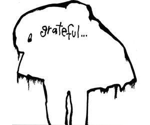 DFL Grateful... (Vinyl) 12" Album