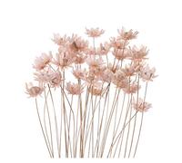 DFSM Fleurs séchées 30 pièces fleurs séchées vives mini marguerites petites étoiles bouquet de fleurs naturelles préserve floral pour bricolage mariage décoration d'intérieur (couleur : rose clair)