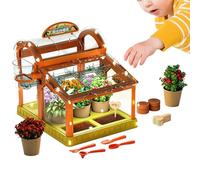 Dgayaeic Coffret De Culture en Serre,avec Lampes de Croissance | Coffret Terrarium De Culture en Serre | pour Filles Salle de Classe Maison Ferme Nature intérieur ou extérieur Culture Fleurs et