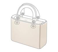 DGAZ Soie Coussin de Sac à Main Pour Sac à Main de Luxe Lady Dior, Organisateur de Sac à Main, Femmes Organiseur de sac Soyeux (Craie, Mini)