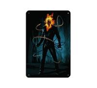 DGFRE Plaque en métal vintage Ghost Rider Movie Classics pour pub, club, café, bar, maison, décoration murale, affiche rétro, 20 x 30 cm