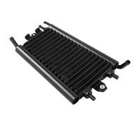 DGHBNP Radiateur d'huile Refroidisseur d'huile de Moto adapté pour Harley Softail Heritage Breakout Slim Fat Boy Street Bob Low Rider 2018 - 2023 Radiateur(Fat Boy)