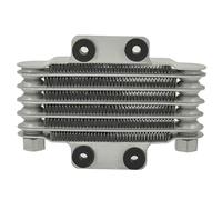 DGHBNP Radiateur d'huile Refroidisseur d'huile de Moto Universel à 6 rangées, radiateur d'huile pour Moteurs, 190MM, Accessoires de Moto Radiateur(Silver m10 x 1.25)