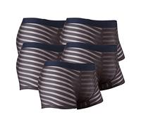 DGKaxiyaHM CaleçOn Rayé en Soie GlacéE pour Homme sous-VêTements Taille Moyenne en Maille Transparente Boxer Mince Respirant Transparent (Gris-5PC,XL)