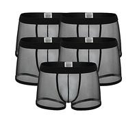 DGKaxiyaHM CaleçOn Transprant en Maille Transparente pour Hommes sous-VêTements Sexy Respirants Taille Basse CaleçOn Extensible Transparent (Le Noir-5PC,L)