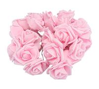 DGLDCSHUAI 3 mètres 20LED USB Guirlande de Fleurs artificielles lumières féeriques de Roses pour la décoration de Mariage de la Saint-Valentin (3 mètres 20 Lampe-Rose Rose-modèle USB)