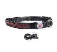 DGLDCSHUAI Lampe Flash LED pour Animaux de Compagnie Collier de sécurité réglable et Rechargeable Chargement USB pour Chat Petit Chien (S)