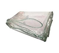 DGLIYJ Bâche PVC Transparente Imperméable 600g Bâche Robuste Étanche Camping Balcon du Jardin Rideau De Pluie Toile Plastique Protection Solaire avec Oeillets (Size : 2x3m)
