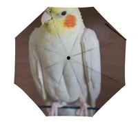 Dgsxynth My Sprirt Parapluie pliable en forme de paresseux pour voyage coupe-vent et imperméable, Perruche calopsitte, Manuel
