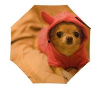 Dgsxynth Parapluie pliant, coloré et coloré tie-dye, parapluie de voyage pour coupe-vent, imperméable, Chihuahua déprimé., Manuel