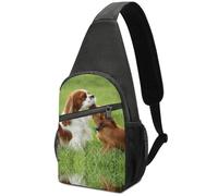 Dgsxynth Sac de poitrine, sac à bandoulière aquarelle 3D, sac à bandoulière décontracté pour homme et femme, Cavalier King Charles., Taille unique