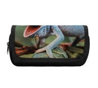 Dgsxynth Trousse à crayons double couche, mathématiques linéaires, éducation mathématique, sac de papeterie utilisé comme trousse à crayons, Caméléon amusant., One Size, Trousse à crayons