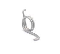 DHAEY SeroNi 10 pièces en Acier Inoxydable Tambour Roue Ressort pêche Moulinet engrenage Canne à pêche Goutte Roue Torsion Ressort(FW-FCL-1.0X8X9)