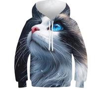 DHBANEIOK Cute Blue Eyed Le Chat Sweat À Capuche Unisexe pour Enfant avec Imprimé Amusant 3D - Pull À Manches Longues pour Garçons Et Filles - avec Poche - Âge : 6-16 Ans 11-13Y