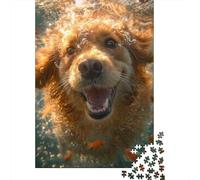 DHBANEIOK Golden Retriever Chien Chien Chien Chien Puzzle 1000 Pièces Puzzle pour Adulte Jeu EduLe chatif 1000 Pièces Puzzles pour Adultes 1000pcs (75x50cm)