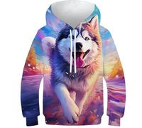 DHBANEIOK Husky Sweat À Capuche Unisexe pour Enfant avec Imprimé Amusant 3D - Pull À Manches Longues pour Garçons Et Filles - avec Poche - Âge : 10-12Y