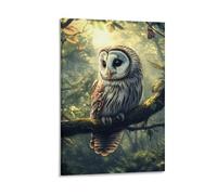 DHBANEIOK La Chouette Impression Sur Toile Abstraite Figure Art Affiches Toile Peinture Mur Photo Pour Salon DécoSourision De La Maison 16x24inch(40x60cm)