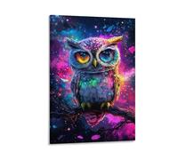 DHBANEIOK La Chouette Peinture Sur Toile Impression Tableaux Coloré Abstraite Moderne Jet D'encre D'art Tableaux Domicile Chambre Murs DécoSourision Peintures 24x36inch(60x90cm)