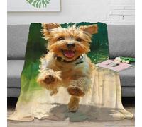 DHBANEIOK Yorkshire Terrier Couverture Polairede Dessin Animé Microfibre 3D Imprimées Sofficee Calda pour Canapés Couvertures en Laine Draps, Chaleur Et Isolation Camping 40x50inch(100x130cm)