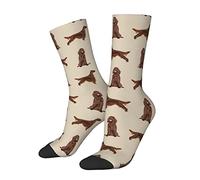 D'Hiver Chaussettes 40cm Race De Chien Simple Setter Irlandais Homme Chaussettes Douces Et Respirantes Chaussettes De Bureau Unisexe Chaussettes Maison Pour Amis, Fête Des Pères, Adolescent