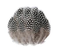 DHSBGWSX Lot de 100 plumes de perles, plumes brunes, décoration de plumes, plumes de pintade, accessoires de bijoux, décoration de bricolage