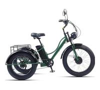 DHsdlpLU Tricycle éLectrique Pliable 24" pour Adulte et Personnes âgées Capacité De Charge 200 Kg Hauteur RéGlable SièGe Souple en PP pour Les achats Lourds