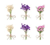 DHWEKU Lot de 6 Mini Bouquets de Fleurs Séchées Naturelles, Mini Fleurs Séchées, Bouquet de Fleurs Sechees, Mélange de Fleurs Séchées Naturelles pour Loisirs Créatifs Décoration D'intérieur
