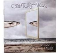 GRAN TURISMO VELOCE - Carne, di Anima [Import]