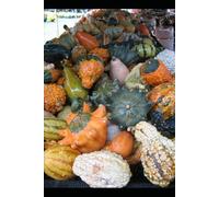 Diabetes and menu: well-being