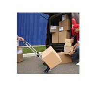 Diable de transport pliable en aluminium 41 x 38 5 x 100 cm chariot manuel télescopique charge max. 70 kg