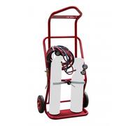 Diable 100 kg 2 bouteilles élingable roues caoutchouc FIMM - 810008371
