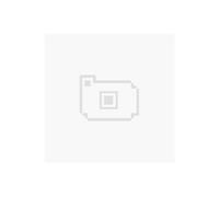 Diablo 3 Ultimate Evil Edition PS4