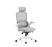 Diablo Chaise de Bureau Ergonomique Gris Clair Dossier Respirant Soutien Lombaire Réglable Appui Tête Accoudoirs 3D Mécanisme Basculant Charge 110 kg