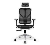 Diablo V-Basic Chaise de Bureau Ergonomique Accoudoirs 3D Dossier Réglable Appuie-tête Fonction Bascule Tissu Résille (Blanc-Noir)