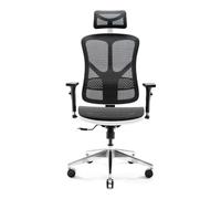 Diablo V-Basic Chaise de Bureau Ergonomique Accoudoirs 3D Dossier Réglable