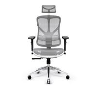 Diablo V-Basic Chaise de Bureau Ergonomique Résille Accoudoirs 3D Réglables