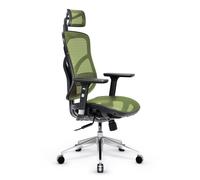 Diablo V-Basic Office Ergonomic Chair Executive Chair Mesh Adjustable Armrests Height Adjustable, Color : Noir-Vert