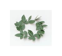 Diadème En Feuilles De Laurier Vertes, Coiffe Romaine, Costume Fantaisie Grec