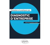 Diagnostic d'entreprise. Performance, Capital immatériel et Risques
