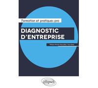 Diagnostic d'entreprise. Performance, Capital immatériel et Risques